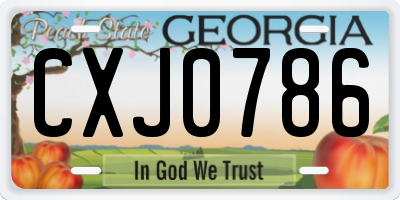 GA license plate CXJ0786