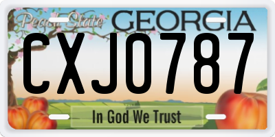 GA license plate CXJ0787