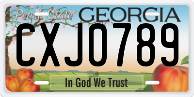 GA license plate CXJ0789