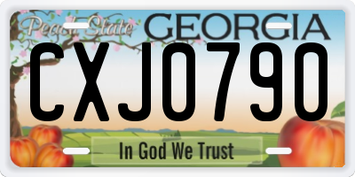 GA license plate CXJ0790