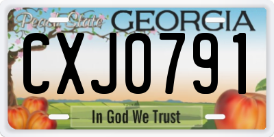 GA license plate CXJ0791