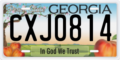 GA license plate CXJ0814