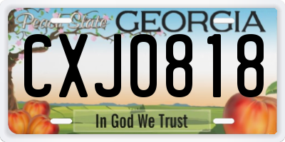 GA license plate CXJ0818