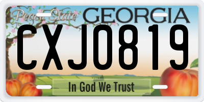 GA license plate CXJ0819