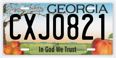 GA license plate CXJ0821