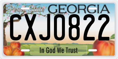 GA license plate CXJ0822
