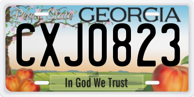 GA license plate CXJ0823