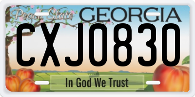GA license plate CXJ0830