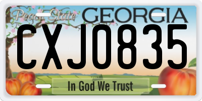 GA license plate CXJ0835