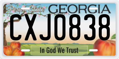 GA license plate CXJ0838