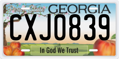 GA license plate CXJ0839