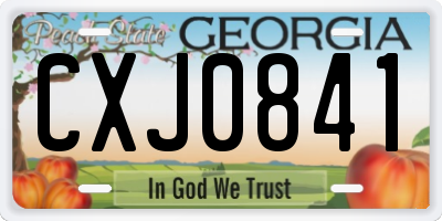 GA license plate CXJ0841