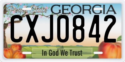 GA license plate CXJ0842