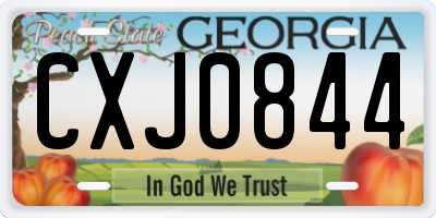 GA license plate CXJ0844