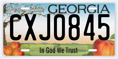 GA license plate CXJ0845