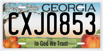 GA license plate CXJ0853