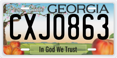 GA license plate CXJ0863