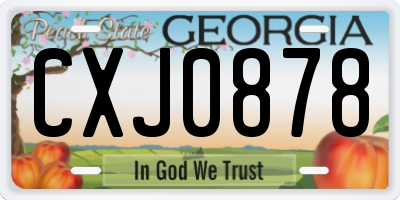GA license plate CXJ0878