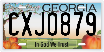 GA license plate CXJ0879