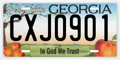 GA license plate CXJ0901