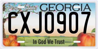GA license plate CXJ0907