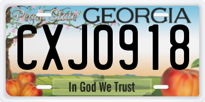 GA license plate CXJ0918