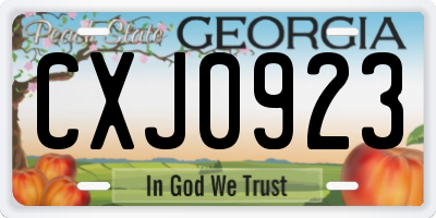 GA license plate CXJ0923