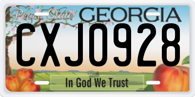 GA license plate CXJ0928