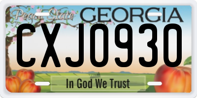 GA license plate CXJ0930