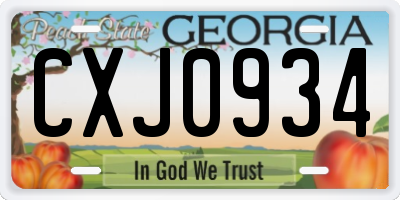 GA license plate CXJ0934