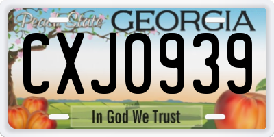 GA license plate CXJ0939