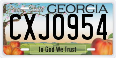 GA license plate CXJ0954