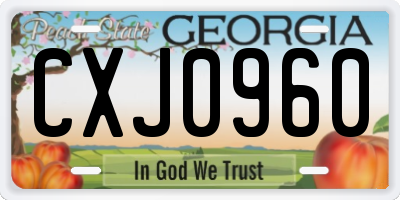 GA license plate CXJ0960