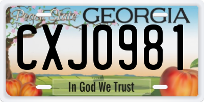 GA license plate CXJ0981