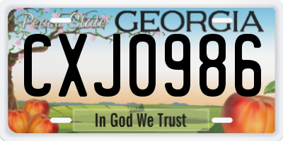 GA license plate CXJ0986