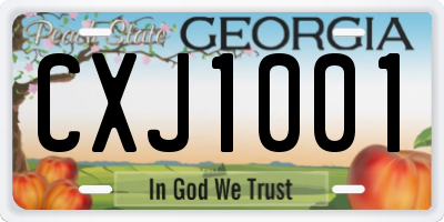 GA license plate CXJ1001