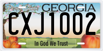 GA license plate CXJ1002