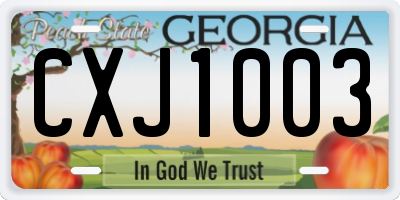 GA license plate CXJ1003