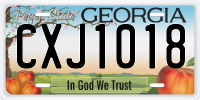 GA license plate CXJ1018