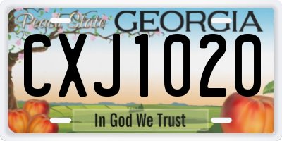 GA license plate CXJ1020