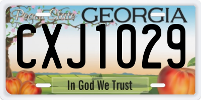 GA license plate CXJ1029