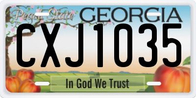 GA license plate CXJ1035