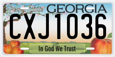 GA license plate CXJ1036