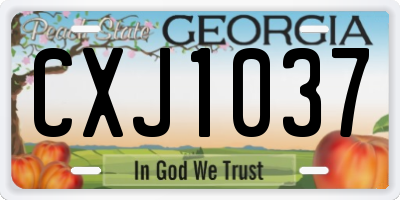 GA license plate CXJ1037