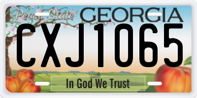 GA license plate CXJ1065