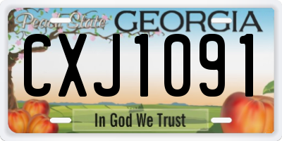 GA license plate CXJ1091