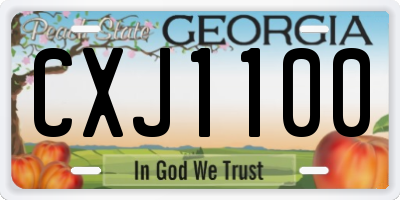 GA license plate CXJ1100
