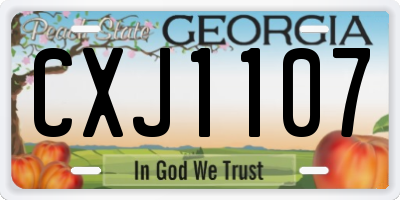 GA license plate CXJ1107