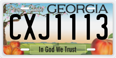 GA license plate CXJ1113