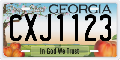 GA license plate CXJ1123
